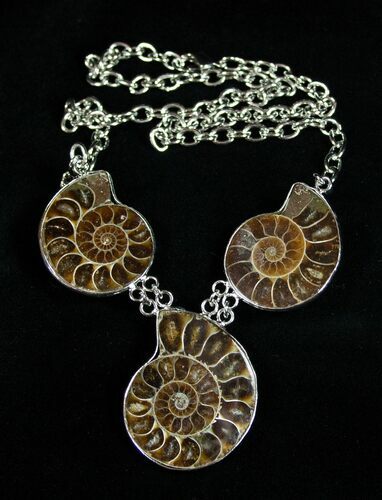 Triple Ammonite Necklace #1864